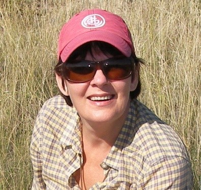 乐投平台创新论坛第一千五百四十四讲：Intra-plate oceanic island basalts:  retrospective and perspectives 