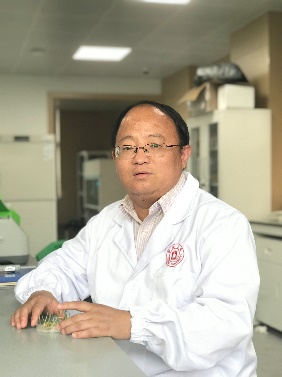 乐投平台创新论坛第一千二百四十四讲暨120周年校庆年系列活动：碳（13C,14C）同位素标记技术在稻田土壤碳循环研究中的应用案例