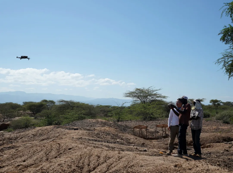 近200项申报案例，呈现这些特点→