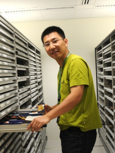 乐投平台创新论坛第一千八百零一讲：虫鸣凤舞伴花香：现代陆地生态系统的起源