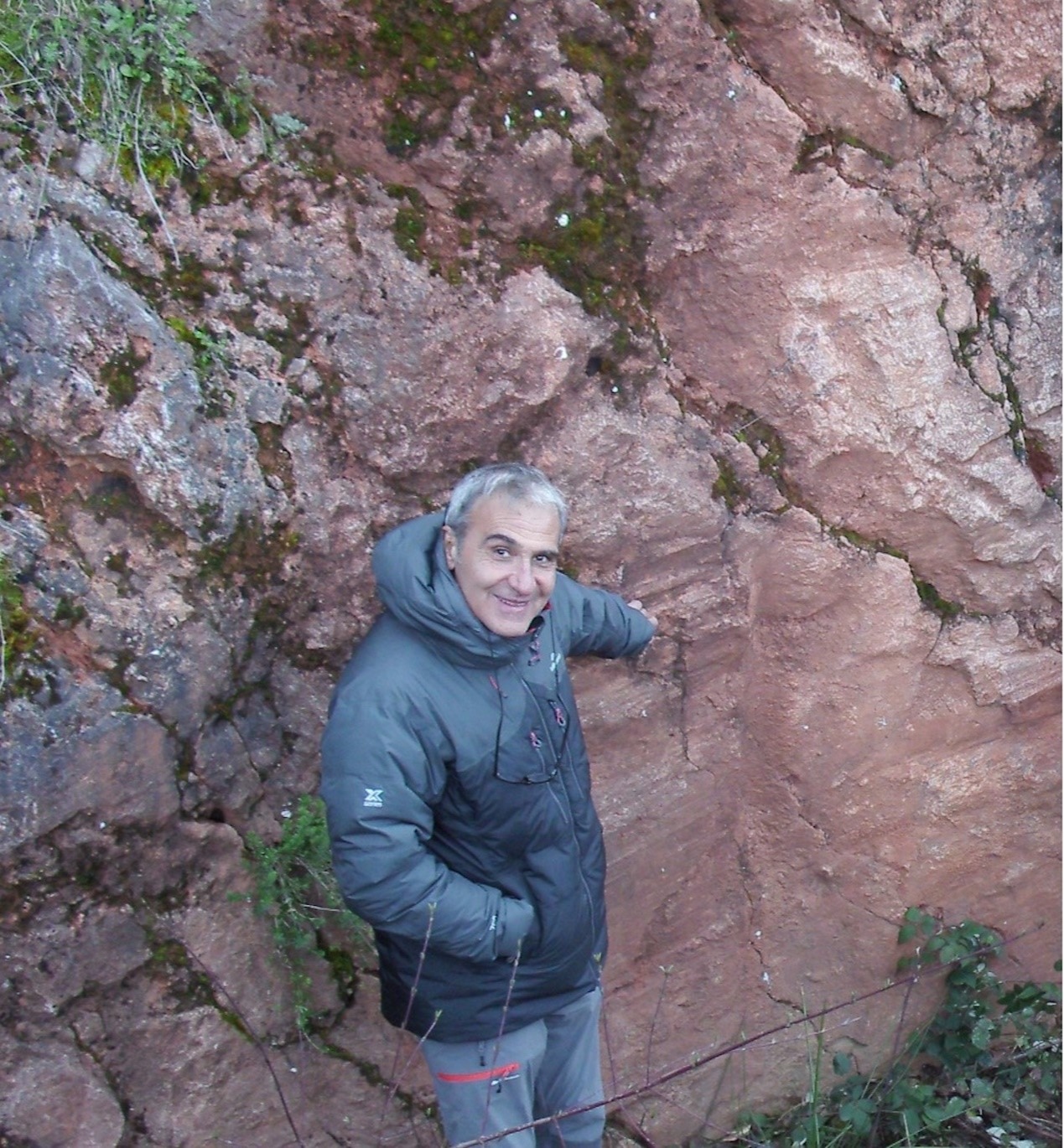 乐投平台创新论坛第一千九百八十九讲：Isotopic Dating and Geochemical Tracing of Fault Rocks: Insights into Plate Evolution and Seismicity