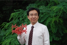 乐投平台创新论坛第一千二百七十三讲暨120周年校庆年系列活动： Unexpected slow diffusion in hierarchical porous materials with combined surface and configurational diffusion   