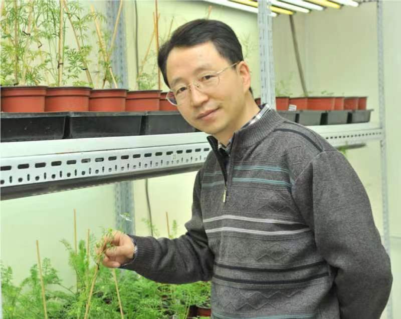 乐投平台创新论坛第一千二百六十八讲暨120周年校庆年系列活动：复杂花瓣的发育与进化