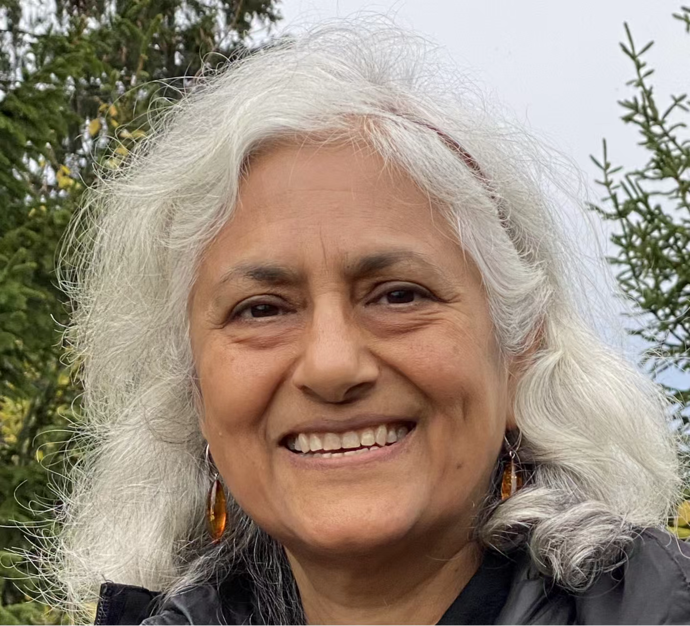 乐投平台创新论坛第一千七百三十九讲：Fractionalized excitations in Quantum Spin Liquids and their Detection